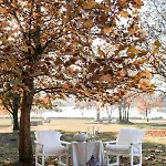 Magnolia Pensionat
