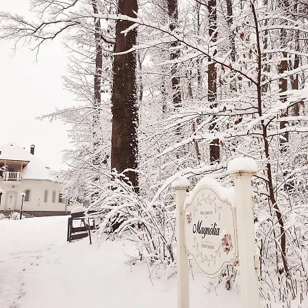 Magnolia Гостевой дом