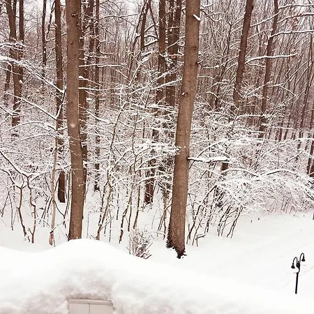 Magnolia 3* Nagykanizsa