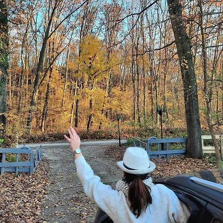 Magnólia 3*