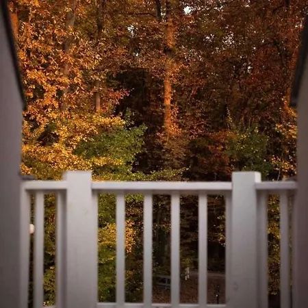 Affittacamere Magnolia Nagykanizsa