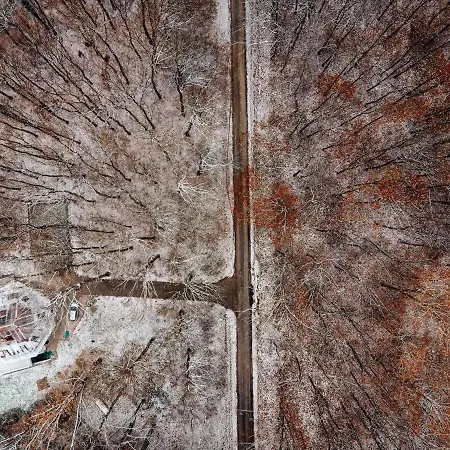 Affittacamere Magnolia 3*