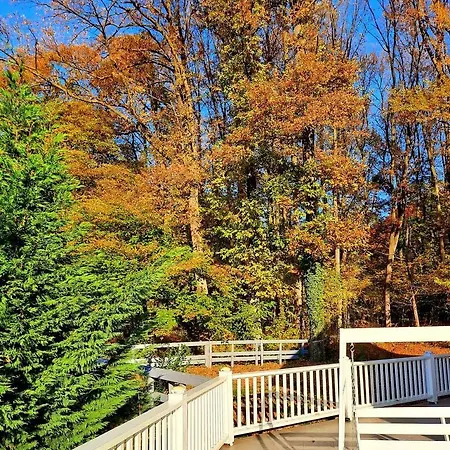 Magnolia Affittacamere 3*