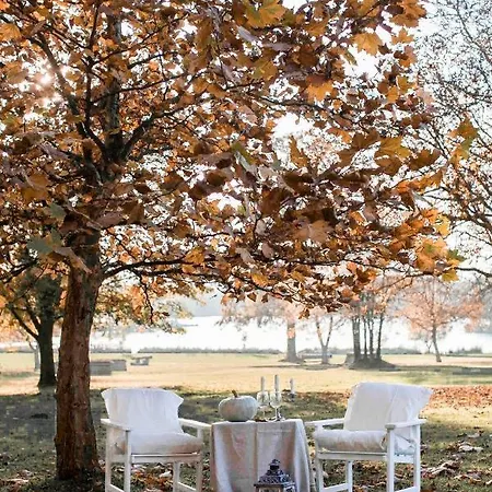 Magnolia Guest house