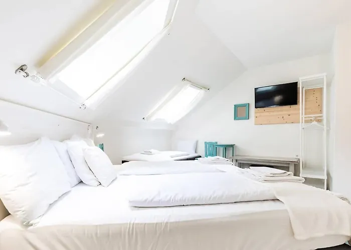 Magnolia Guest house