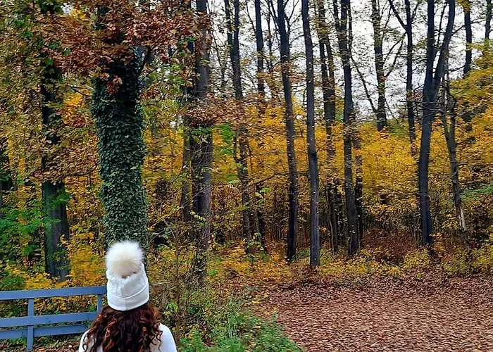 Magnolia Gasthuis Nagykanizsa