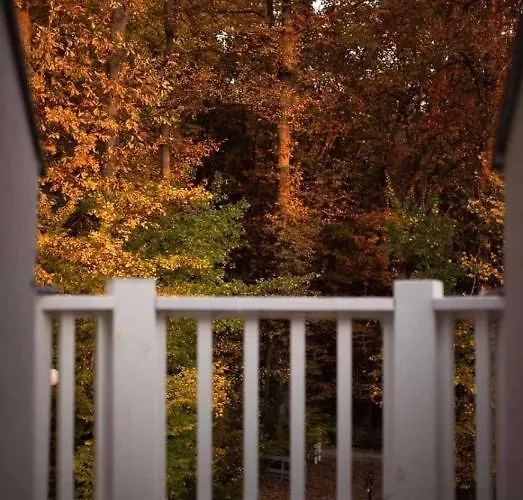 Gasthuis Magnolia Nagykanizsa