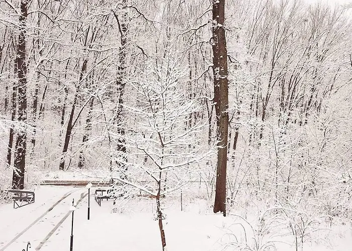 Gasthuis Magnolia 3*