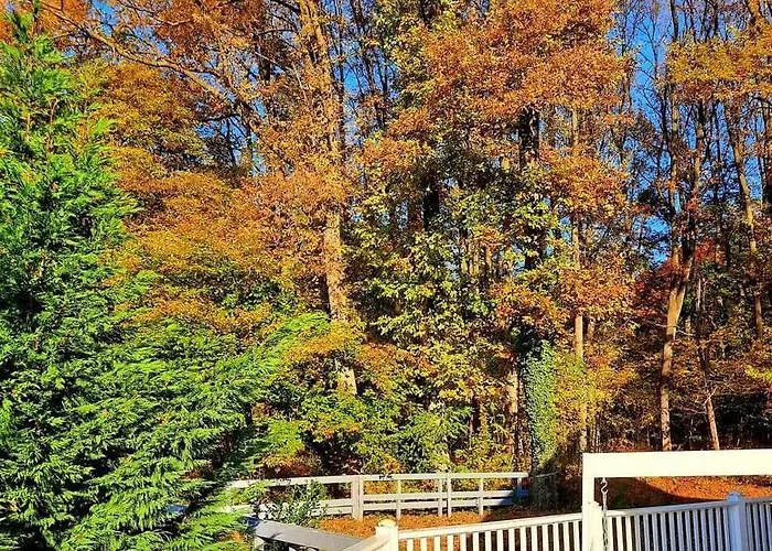 Magnolia Guest house 3*