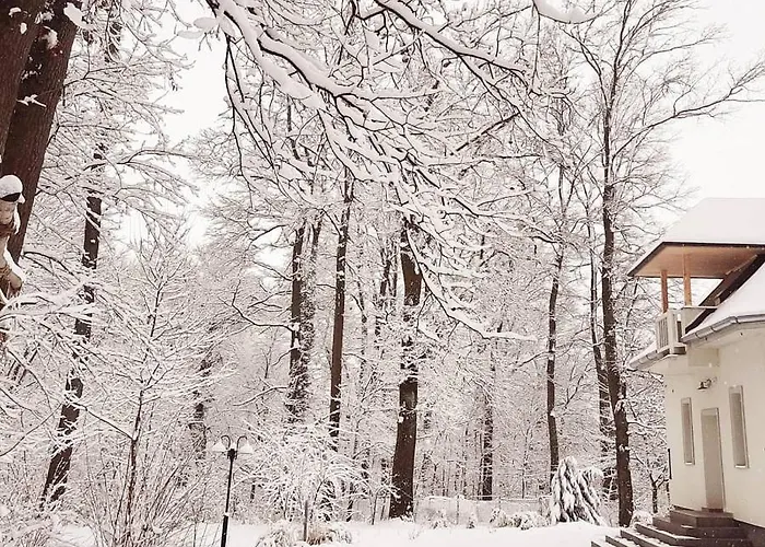 Magnolia Gasthuis 3*